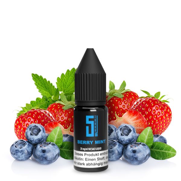 5EL - Berry Mint - Nikotinsalz Liquid