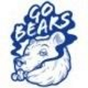 GO BEARS
