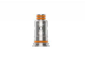 GeekVape G Series 1,0 Ohm Head (5 Stück pro Packung)