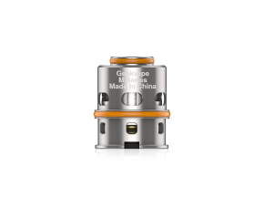 GeekVape M Series 0,3 Ohm Dual Coil Heads (5 Stück pro Packung)
